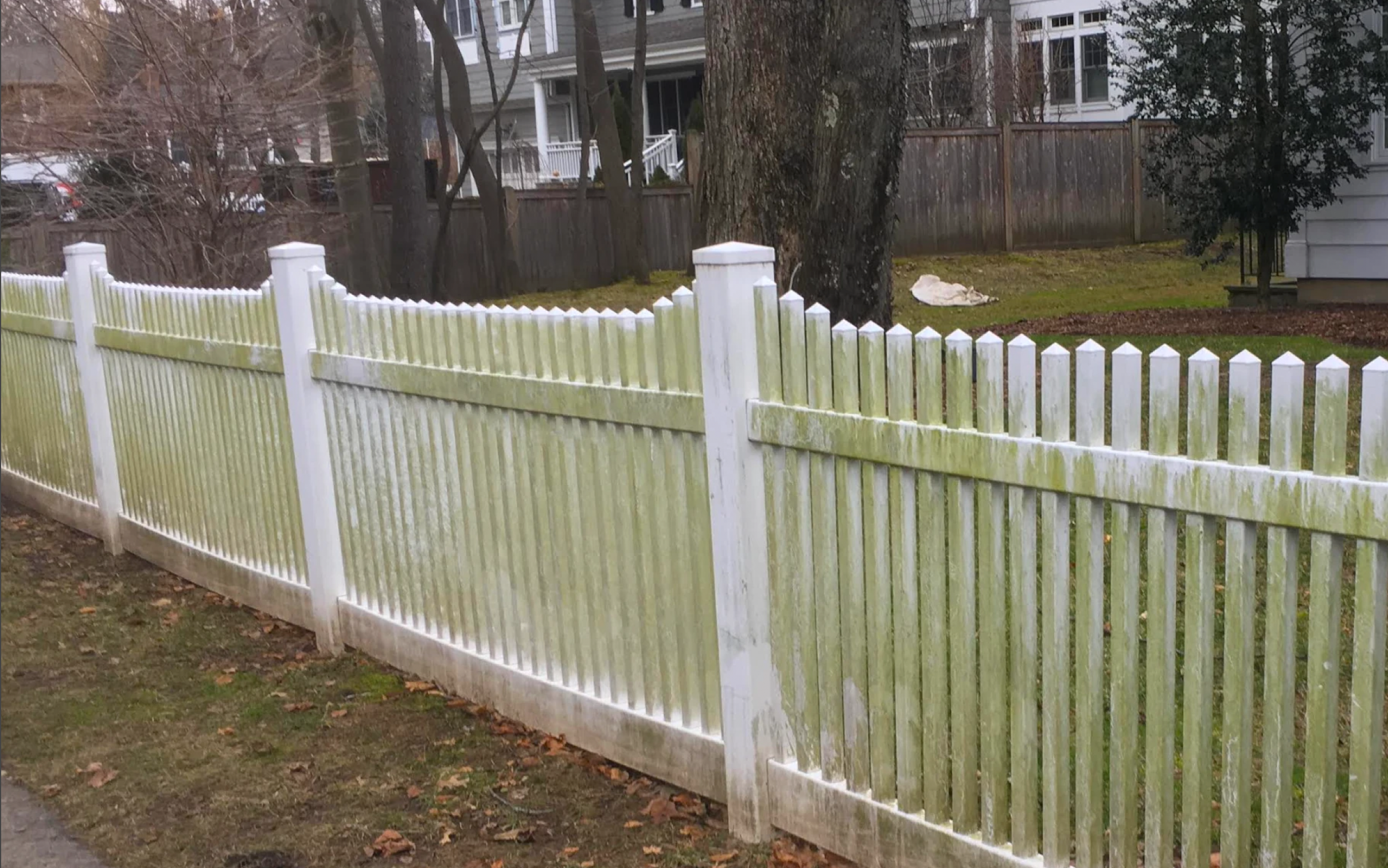 Green algae-covered white vinyl fence before professional power washing in Yonkers, NY